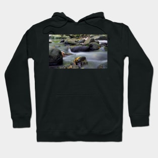 nature stream Hoodie